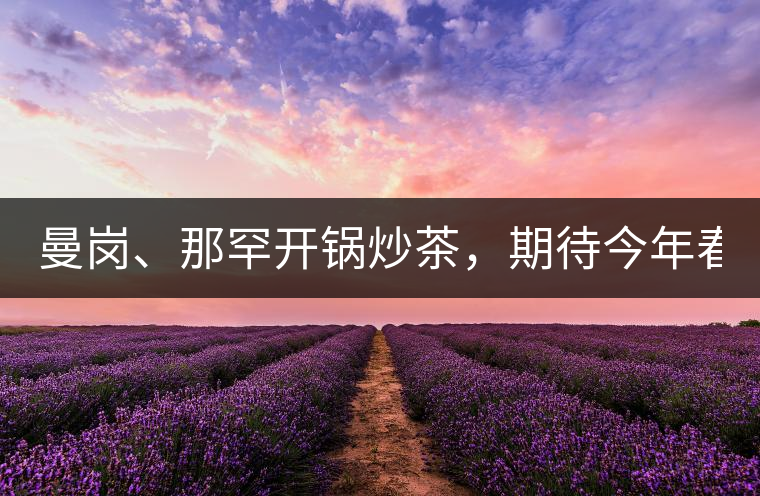 曼崗、那罕開鍋炒茶，期待今年春茶！