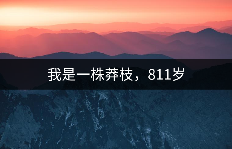 我是一株莽枝，811歲