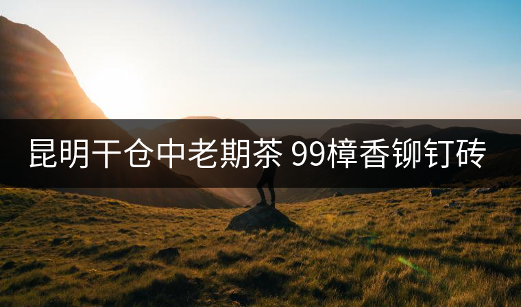 昆明干倉中老期茶 99樟香鉚釘磚 致敬時光的力量 昆明干倉中老期茶 99樟香鉚釘磚 致敬時光的力量