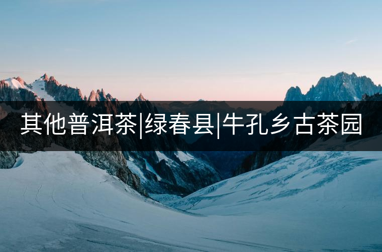 其他普洱茶|綠春縣|?？奏l(xiāng)古茶園