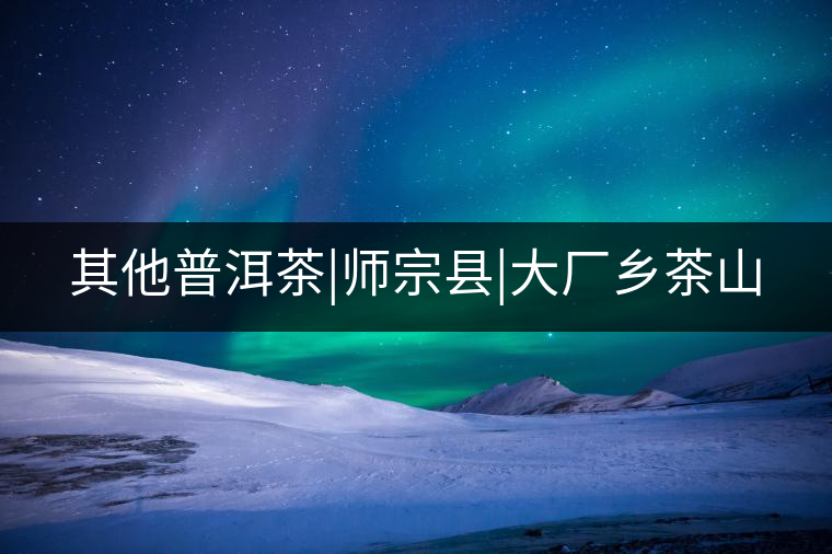 其他普洱茶|師宗縣|大廠鄉(xiāng)茶山