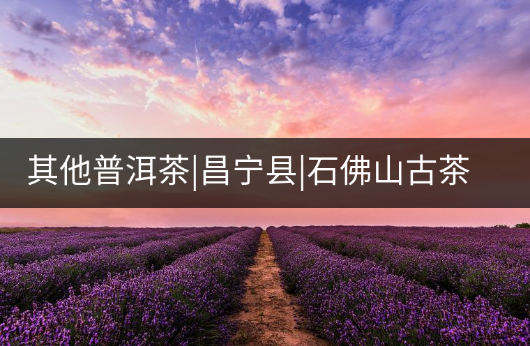 其他普洱茶|昌寧縣|石佛山古茶樹(shù)群