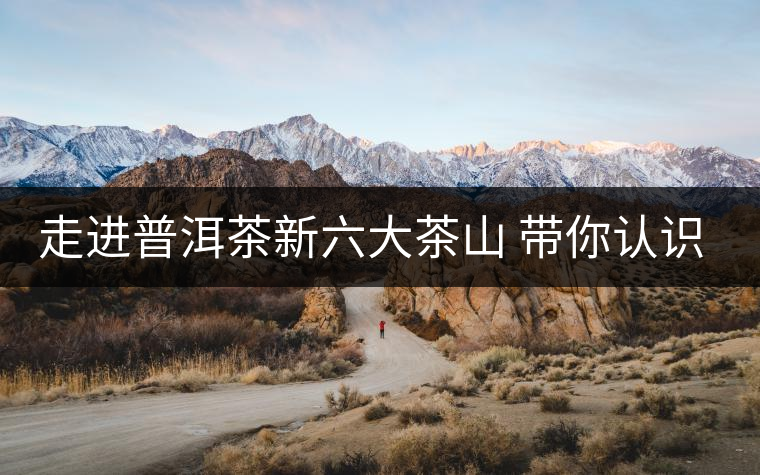 走進普洱茶新六大茶山 帶你認識景邁山 走進普洱茶新六大茶山 帶你認識景邁山