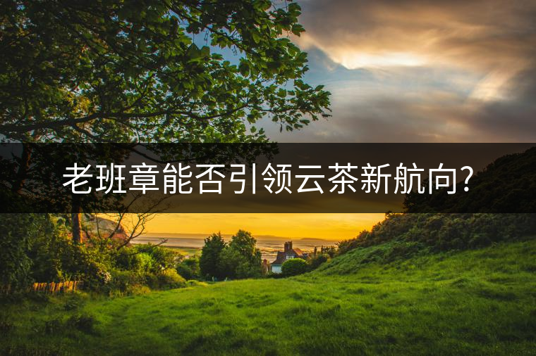 老班章能否引領(lǐng)云茶新航向?