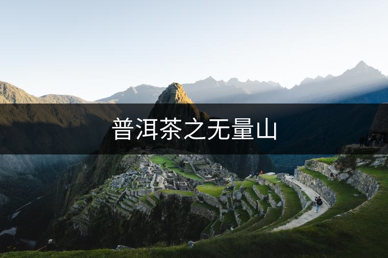 普洱茶之無(wú)量山