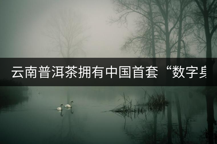 云南普洱茶擁有中國(guó)首套“數(shù)字身份證” 云南普洱茶擁有中國(guó)首套“數(shù)字身份證”