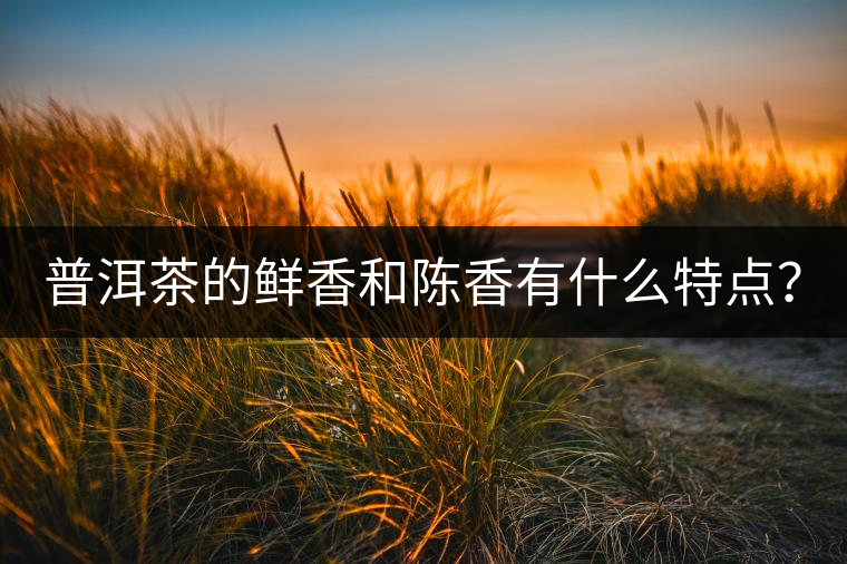 普洱茶的鮮香和陳香有什么特點(diǎn)？