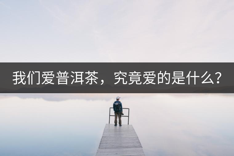 我們愛普洱茶，究竟愛的是什么？