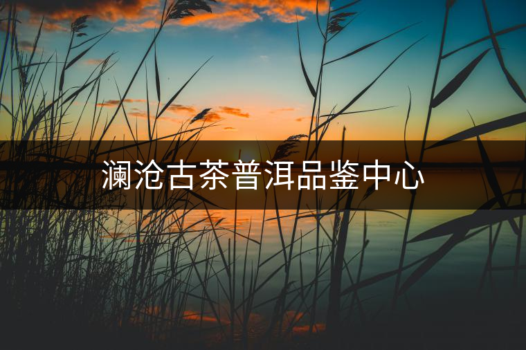 瀾滄古茶普洱品鑒中心