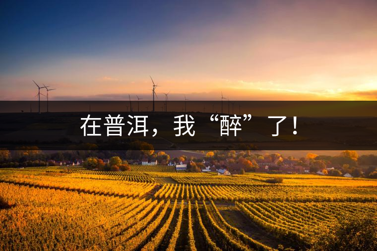 在普洱，我“醉”了！