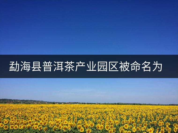 勐?？h普洱茶產(chǎn)業(yè)園區(qū)被命名為 