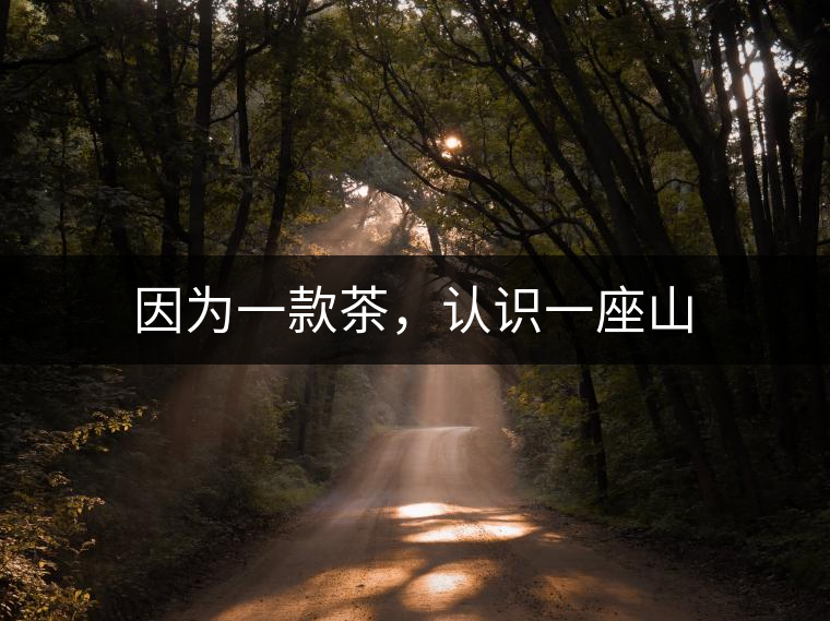 因為一款茶，認識一座山