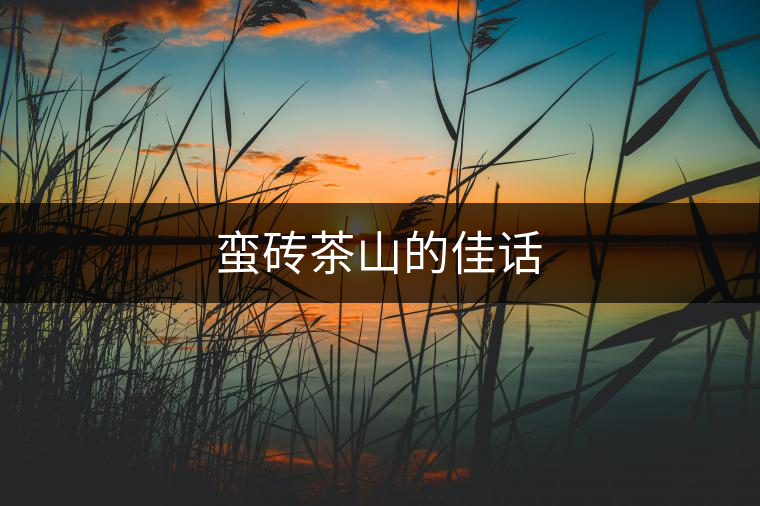 蠻磚茶山的佳話