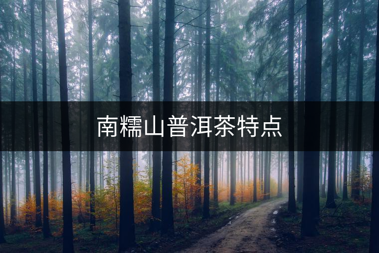南糯山普洱茶特點(diǎn)