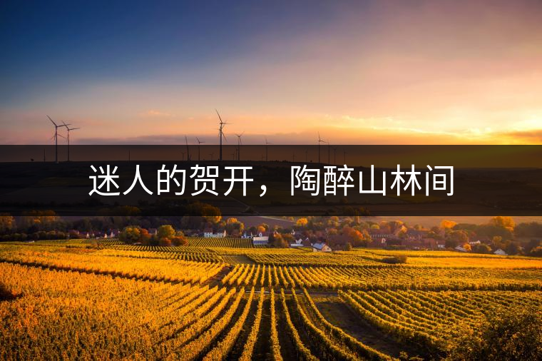 迷人的賀開(kāi)，陶醉山林間