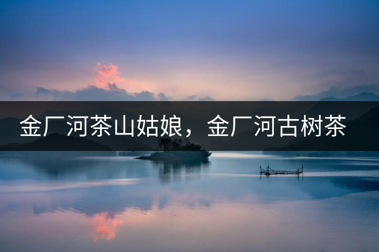 金廠河茶山姑娘，金廠河古樹茶特點與價格