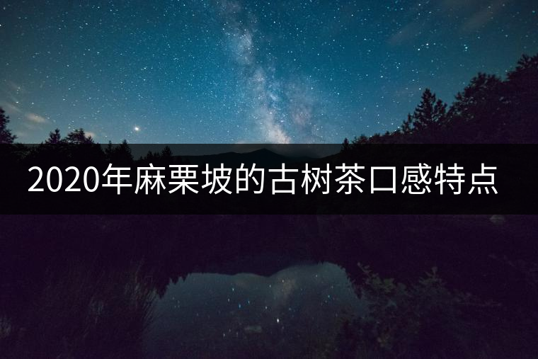 2020年麻栗坡的古樹茶口感特點(diǎn)是什么？