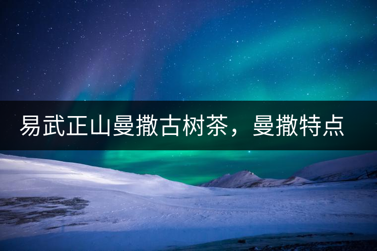 易武正山曼撒古樹茶，曼撒特點分享介紹