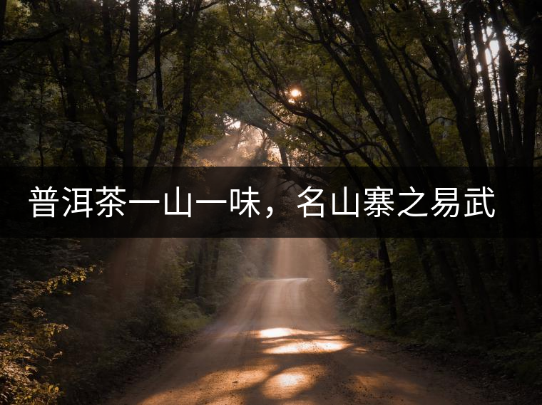 普洱茶一山一味，名山寨之易武彎弓瑤族丁家寨