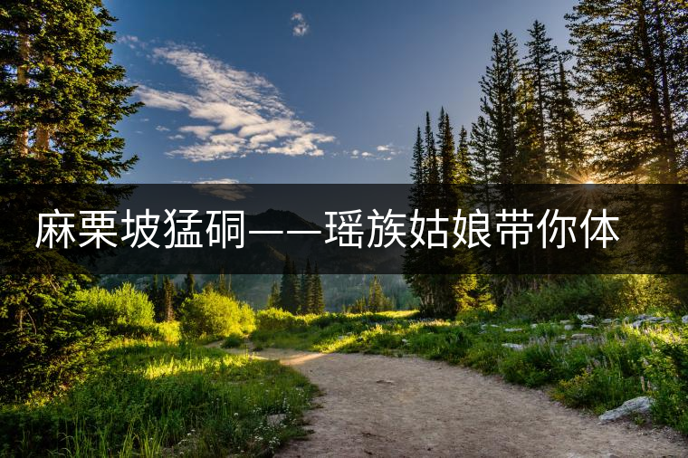 麻栗坡猛硐——瑤族姑娘帶你體驗瑤山茶園