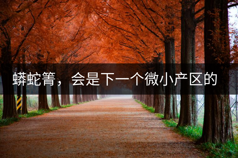 蟒蛇箐，會是下一個微小產(chǎn)區(qū)的熱門山頭嗎？