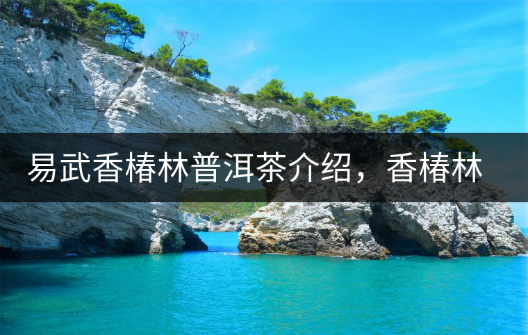 易武香椿林普洱茶介紹，香椿林古樹茶口感特點(diǎn)