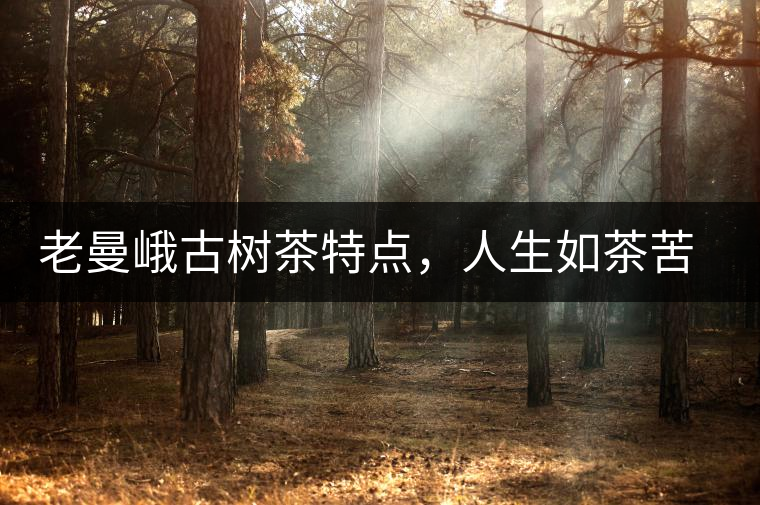老曼峨古樹茶特點，人生如茶苦盡甘來