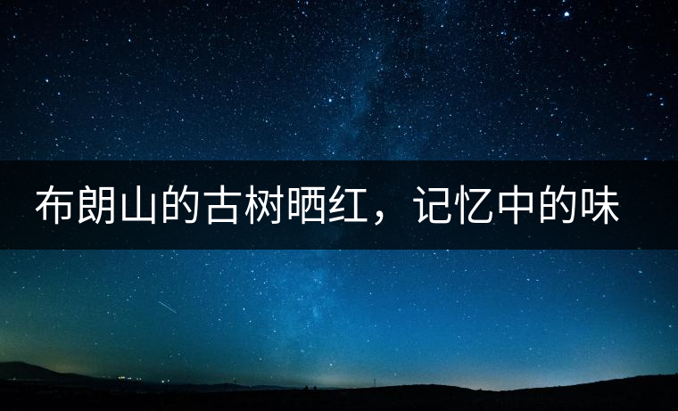 布朗山的古樹曬紅，記憶中的味道