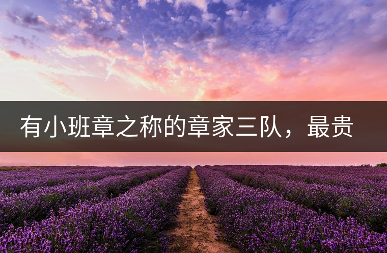 有小班章之稱的章家三隊，最貴的小樹茶