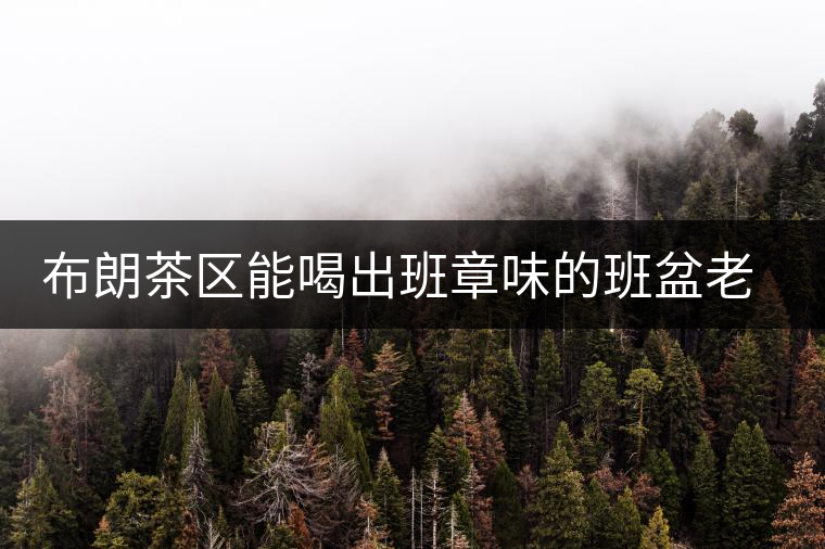 布朗茶區(qū)能喝出班章味的班盆老寨你知道嗎？