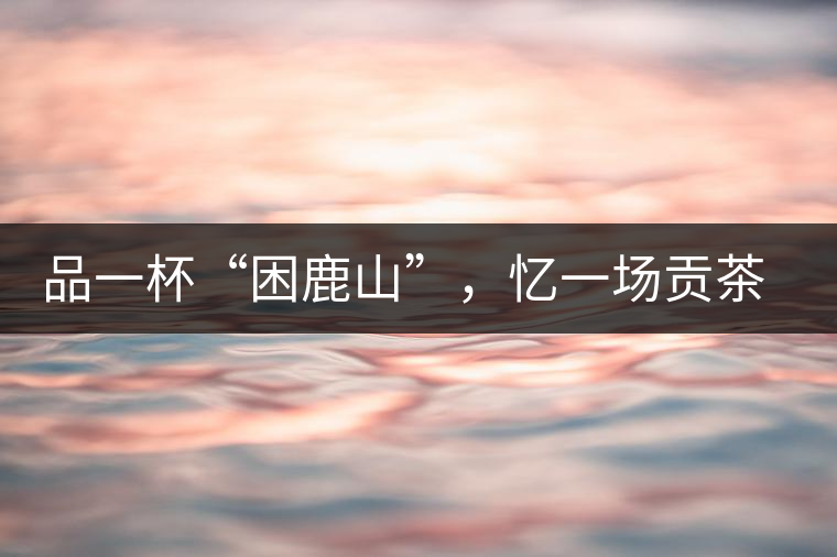 品一杯“困鹿山”，憶一場(chǎng)貢茶情