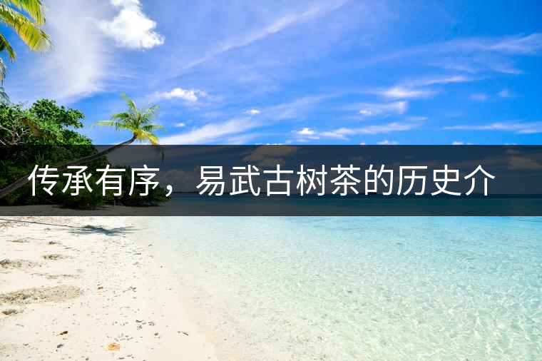 傳承有序，易武古樹茶的歷史介紹