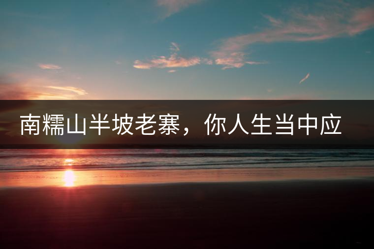 南糯山半坡老寨，你人生當(dāng)中應(yīng)該入手的第一片勐海味古樹(shù)純料普洱茶