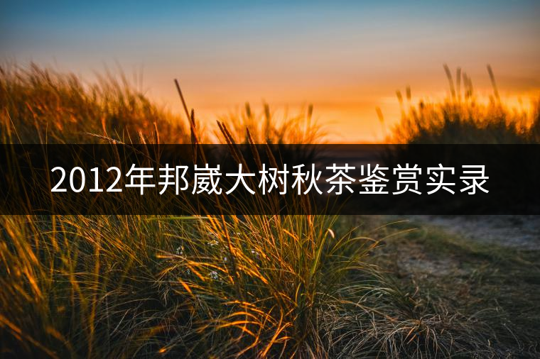 2012年邦崴大樹秋茶鑒賞實(shí)錄