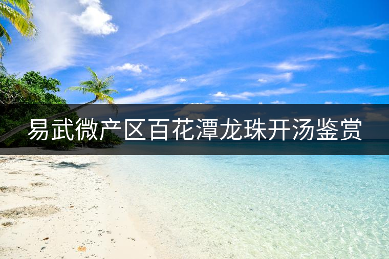 易武微產(chǎn)區(qū)百花潭龍珠開(kāi)湯鑒賞 易武微產(chǎn)區(qū)百花潭龍珠開(kāi)湯鑒賞