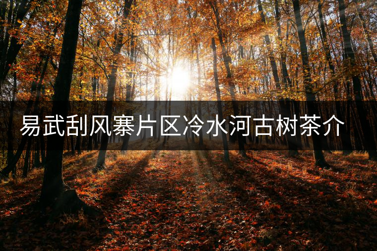 易武刮風(fēng)寨片區(qū)冷水河古樹茶介紹