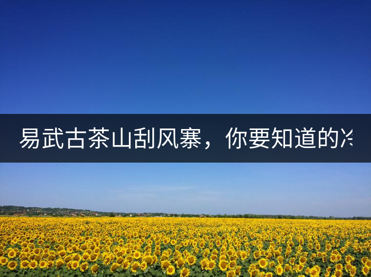 易武古茶山刮風(fēng)寨，你要知道的冷知識！