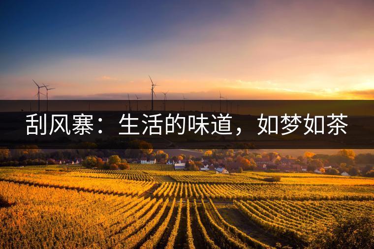 刮風寨：生活的味道，如夢如茶