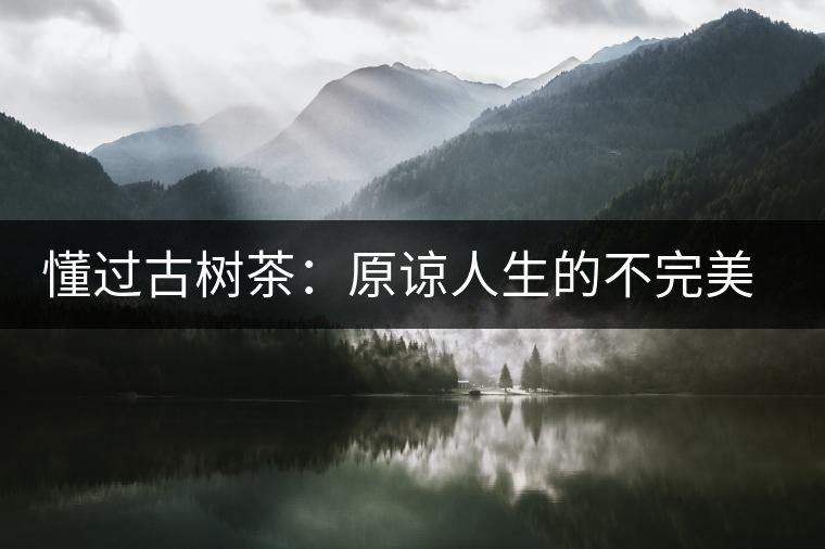 懂過古樹茶：原諒人生的不完美，多一次心靈的回歸！