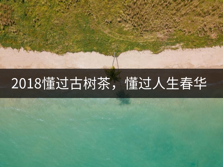 2018懂過古樹茶，懂過人生春華秋實(shí)！