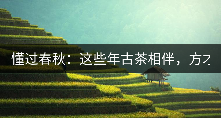 懂過春秋：這些年古茶相伴，方才懂過！