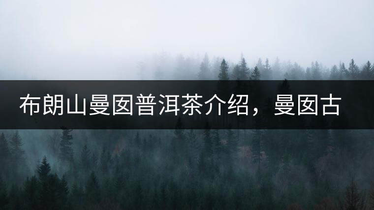 布朗山曼囡普洱茶介紹，曼囡古樹茶口感特點(diǎn)