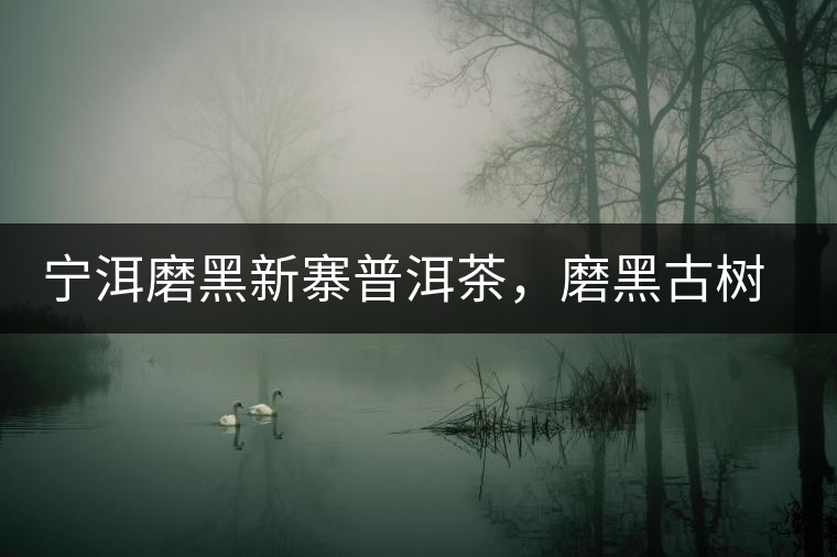 寧洱磨黑新寨普洱茶，磨黑古樹(shù)茶口感特點(diǎn)