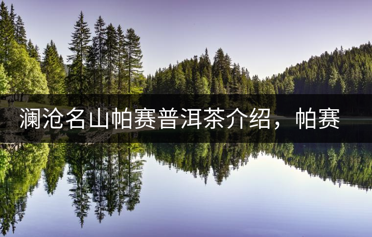 瀾滄名山帕賽普洱茶介紹，帕賽古樹茶口感特點