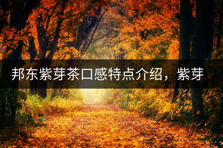 邦東紫芽茶口感特點(diǎn)介紹，紫芽與紫鵑區(qū)別
