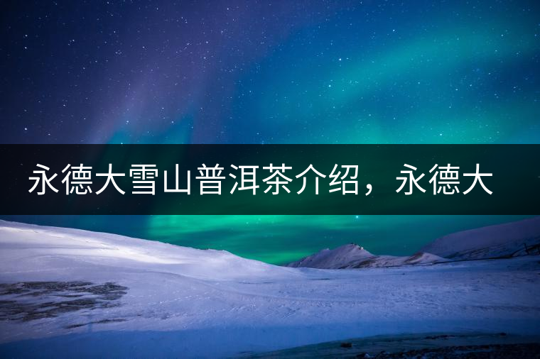 永德大雪山普洱茶介紹，永德大雪山古樹茶口感特點