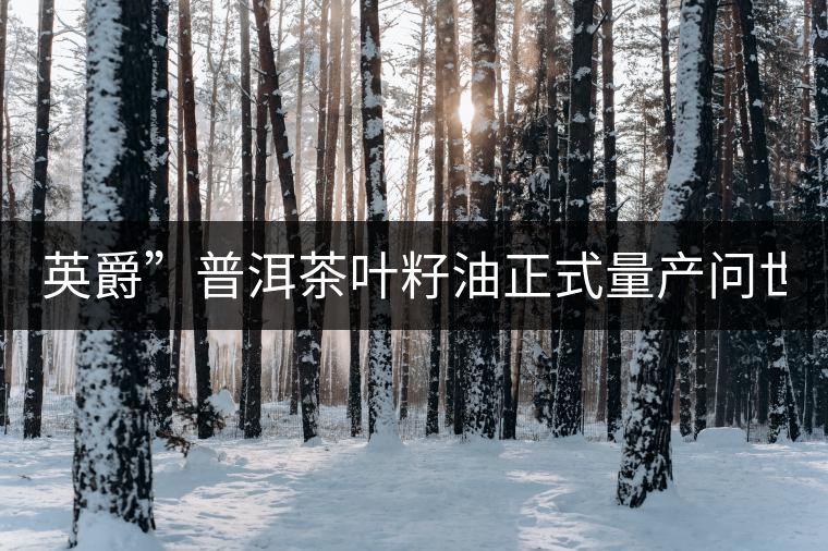 英爵”普洱茶葉籽油正式量產(chǎn)問(wèn)世。