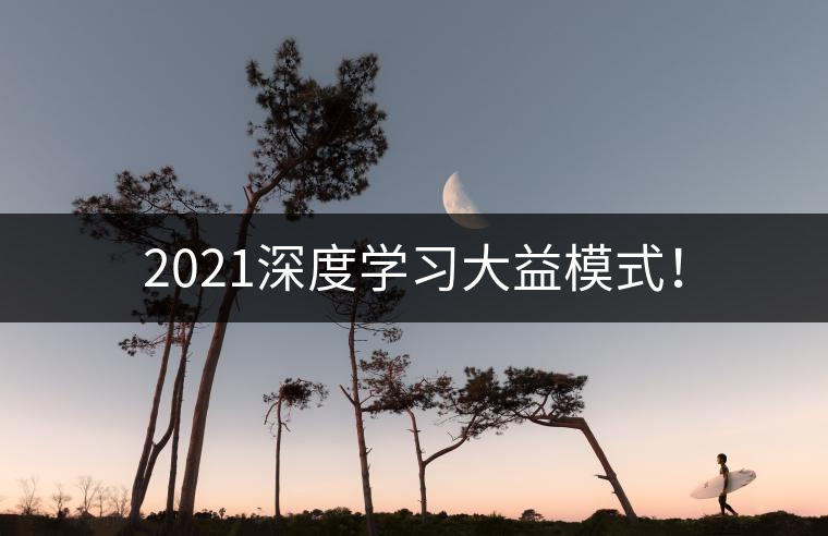2021深度學(xué)習(xí)大益模式！