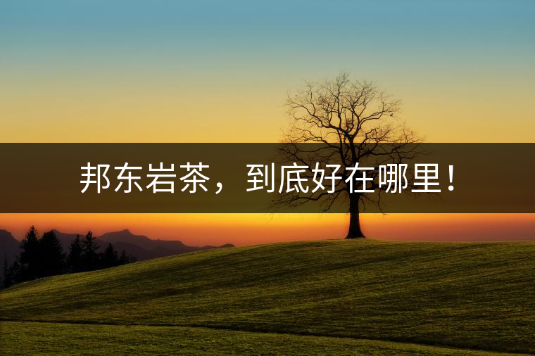 邦東巖茶，到底好在哪里！