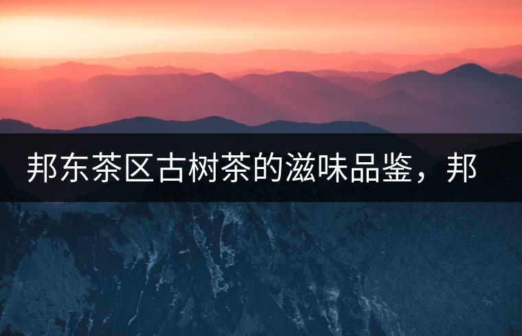 邦東茶區(qū)古樹茶的滋味品鑒，邦東普洱茶特點